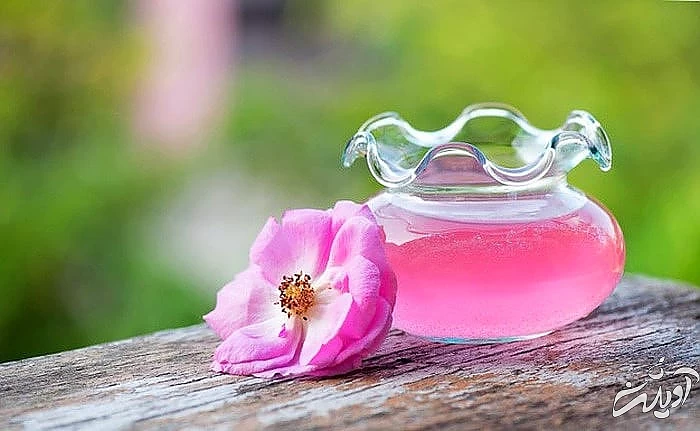 گلاب معطر